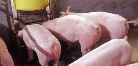 Nieuwsbrief 10 – 2018