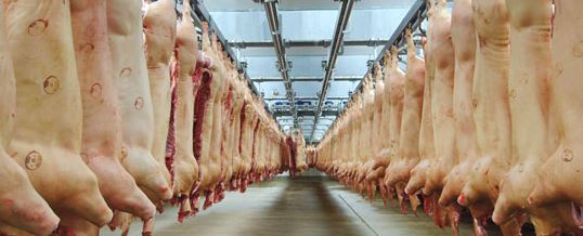 Nederland heeft recordhoeveelheid varkensvlees geëxporteerd