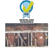 IKB Nederland Runderen - Producert