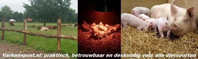 Varkenspost.nl - voor alle diersoorten