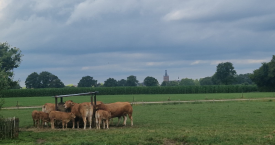 Producert nieuwsbrief 11 – 2023